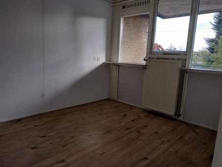 Beethovenlaan 3-41 - Photo 3