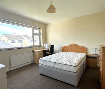 Lurgan Park, Renmore, Galway, H91E127 - Photo 4