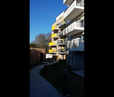 Location Appartement NANTES 44000 44028-L71 - Photo 1