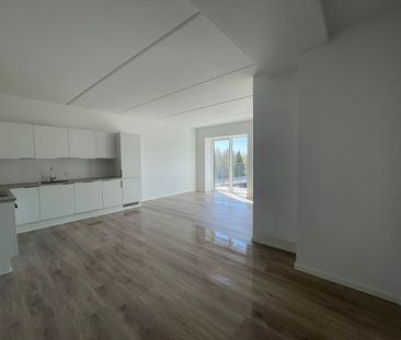 Gyldenrisvej - Photo 4