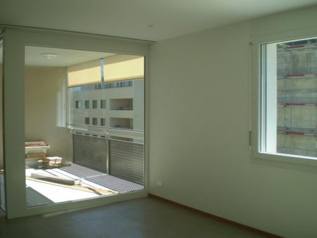 Rue du Clos-Novex 47, 1868 COLLOMBEY - Foto 4