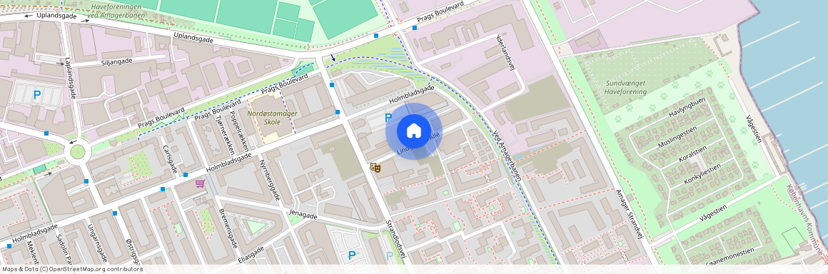 Lindgreens Allé 5, 2. Dør 5, 2300 København S