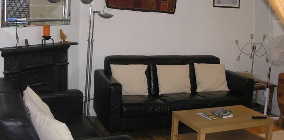 Room in a Shared Flat, Park Mansions, SW8 - Photo 2