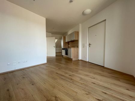 Geförderte Mietwohnung mit 3 Zimmer und Balkon - Photo 3