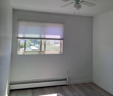 Renovated 2 bdm, Top Floor, Corner, Faces West, Available now!! - Photo 4