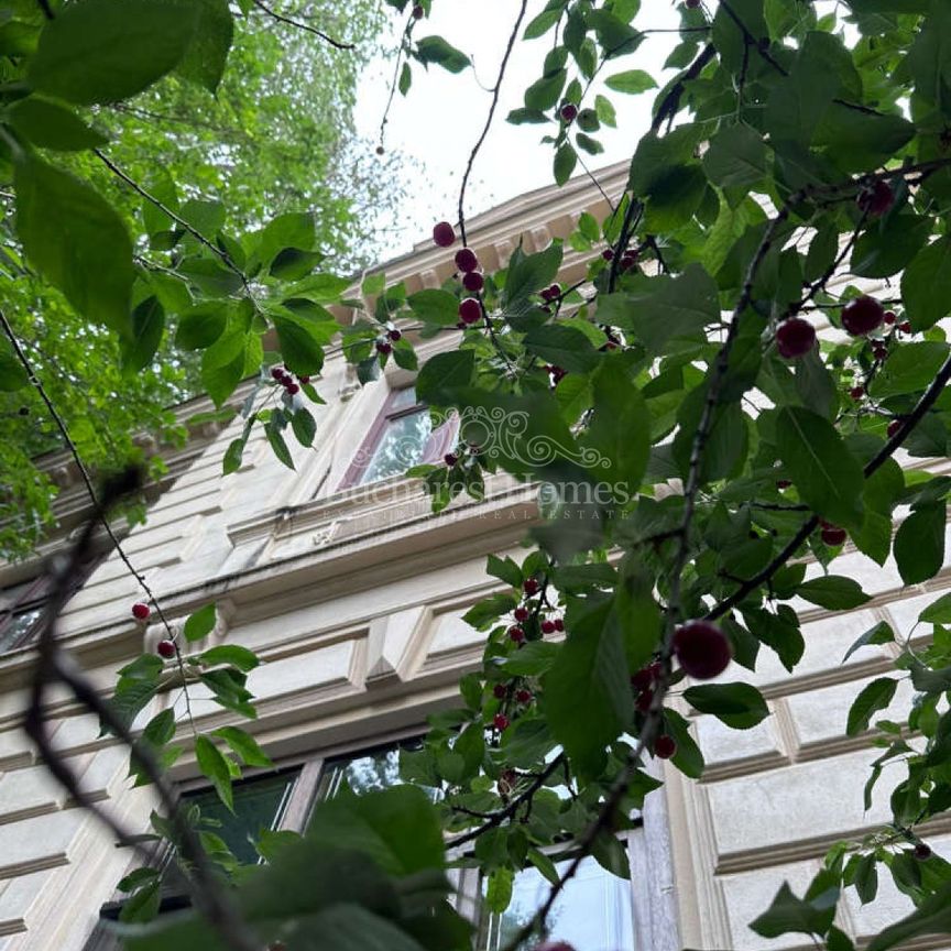 Aristocratic Restored Mansion on Two Levels - Icoanei Gardens - Photo 1