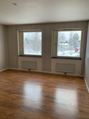 Textilvägen, Sågmyra - Foto 1