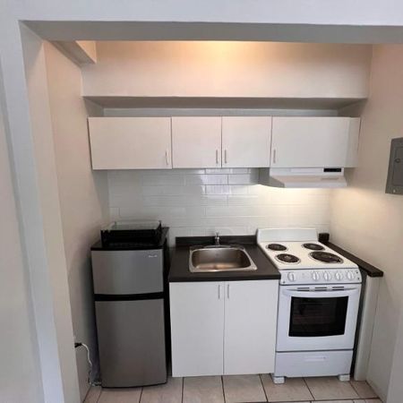 NEAR MCGILL U, GORGEOUS AND RENOVATED 1½ (pateau Mont Royal) - Photo 3