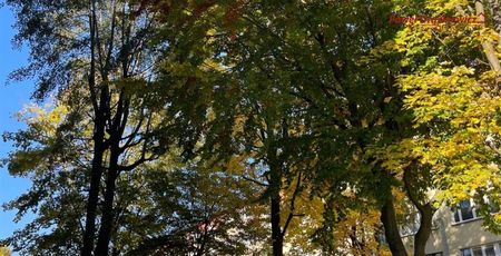 Bielsko-Biała, Osiedle Kopernika Mieszkanie na wynajem - Zdjęcie 4