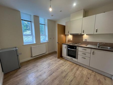 1 bedroom flat to rent - Photo 2