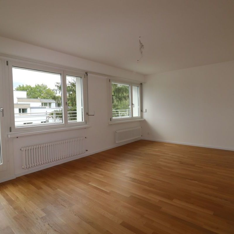 Wohnen im Fürstenrain - moderne 3-Zimmer-Dachwohnung in Oberwil - Photo 1