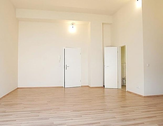 gz-i.de: Sehr geräumiges Apartment im Zollhof Dresden - Foto 1