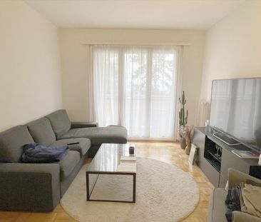 Apartment - Photo 4