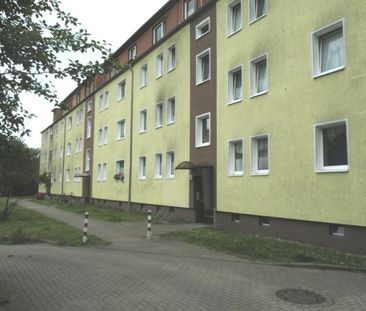 Wohnen im beliebten Knieper Nord! - Foto 1