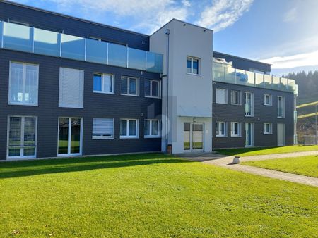 LUXURIOUS LIFE CLOSE TO NATURE - Photo 4