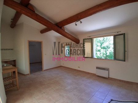 Appartement à louer, 2 pièces - L'Isle-sur-la-Sorgue 84800 - Photo 4