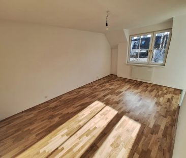 Supersüß und grün und sonnig - Photo 4