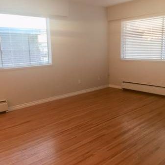 2 Bedroom Hidden Gem....., flooded with Natural light - Photo 1