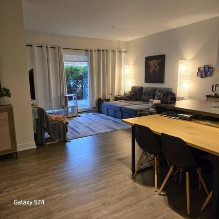 4 et demi à louer - Sainte-catherine, rive sud de Montréal - Photo 3