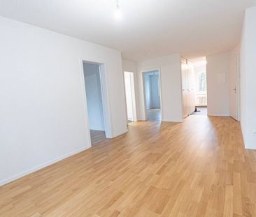 3 Zimmer, 57 m², 2. Stock - Foto 1