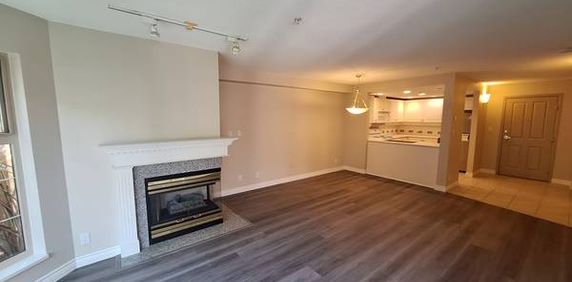 Spacious 1 Bedroom Suite Fully Renovated with large Terrace - Photo 2