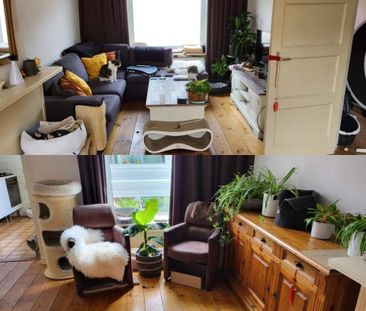 Chambre meublée dans maison partagé - Broekhovenseweg, Tilburg - Foto 1