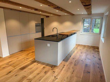 3.5-Zimmer-Wohnung mit grosser Terrasse / Dietlismühle - Historisch... - Foto 5