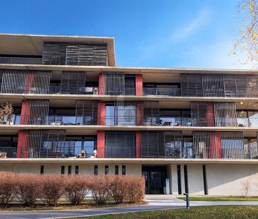 HAVRE DE PAIX LUMINEUX ORIENTÉ PLEIN SUD - Photo 3