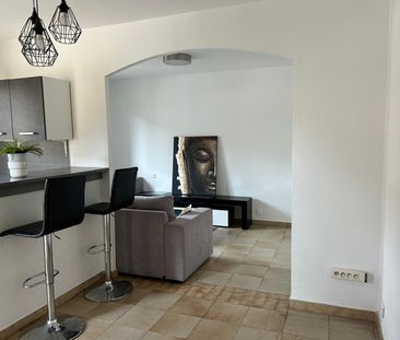 Location Appartement 2 pièces PEGOMAS 06580 - Photo 3