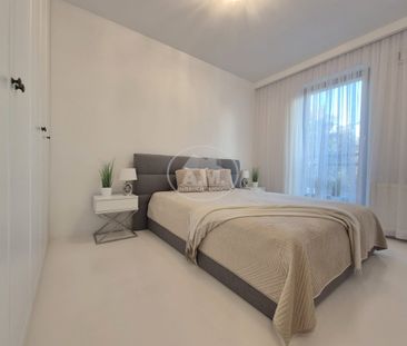 Ogrody Hallera, Balkon,Winda, Małe zwierzęta Tak - Zdjęcie 3