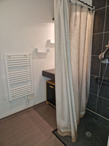 Location Appartement 1 pièce 21m² TALENCE 33400 - Photo 3