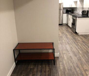2 Bedroom Semi Furnished Lower Unit in GreyStone Heights - Photo 3