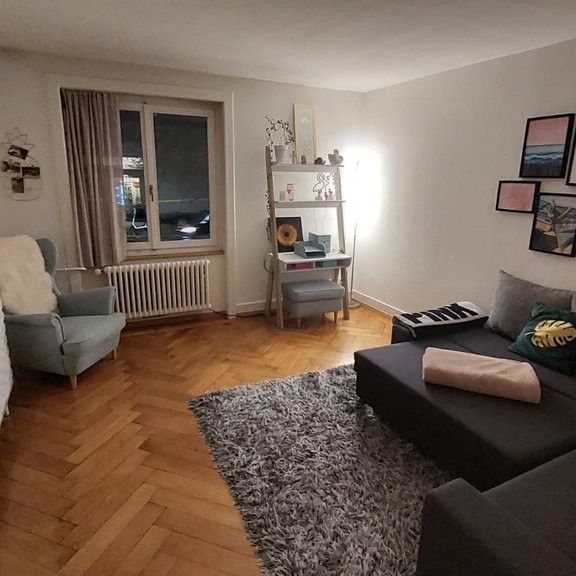 "Tolle Wohnung am Fusse des Uetlibergs" - Photo 1