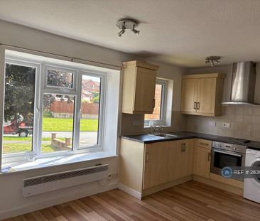 Studio to rent - Photo 3