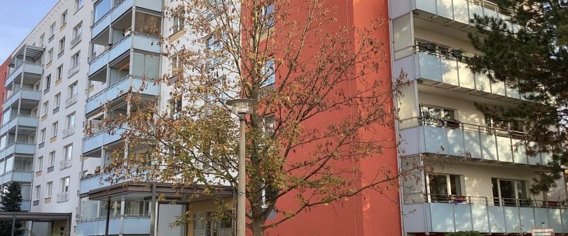 geräumige Parterrewohnung, für Rollstuhlfahrer möglich - Photo 1