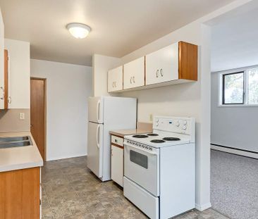 1 Bedroom - Photo 3