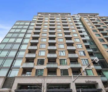 238 Besserer Street Unit 209, Sandy Hill - Available from November ... - Photo 1