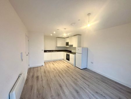 Erasmus Drive - Photo 4