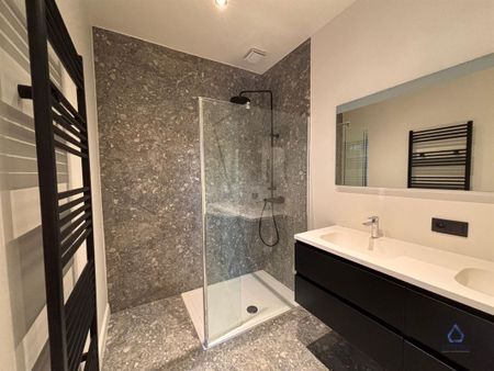 Dendermondse steenweg 254, 9300 Aalst - Photo 4