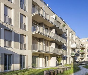 Leben am Wasser nahe der Altstadt Köpenick - Foto 1