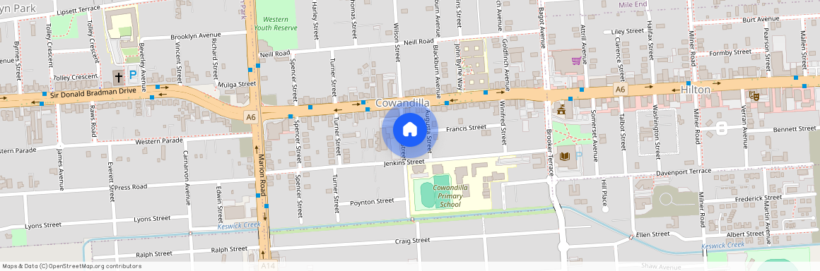 26 Wilson Street, SA 5033, Cowandilla