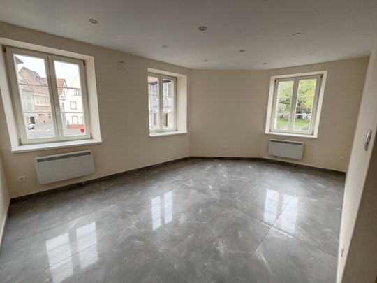 Location Appartement 4 pièces 69m² SELESTAT 67600 - Photo 1