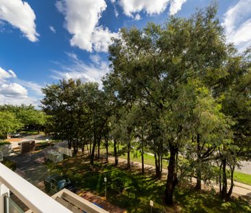 Light and Bright - Leafy, Treetop Views - Photo 5