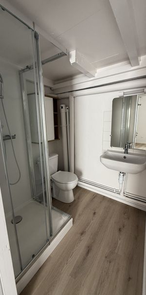 POITIERS PLEIN CENTRE BEAU TYPE 2 RENOVE DE 28 M2 - Photo 1