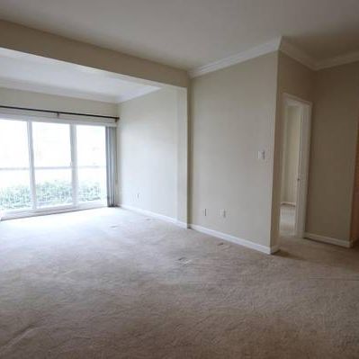 Bright and Spacious 1Bed/1Bath at Hempstead Manor - Photo 3