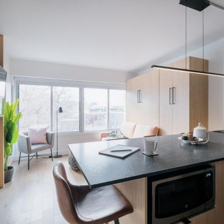 Loft entièrement meublé à louer Saint-Jean-Baptiste avril 2026 - Photo 3