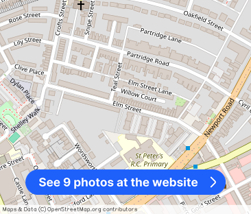 Elm Street, Roath - Photo 1