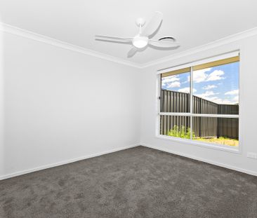 1/2 Daunt Street, Farley NSW 2320 - House For Rent | Domain - Photo 1