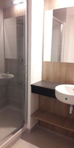 Location Appartement 1 pièce 20m² LYON 7ème - Photo 3