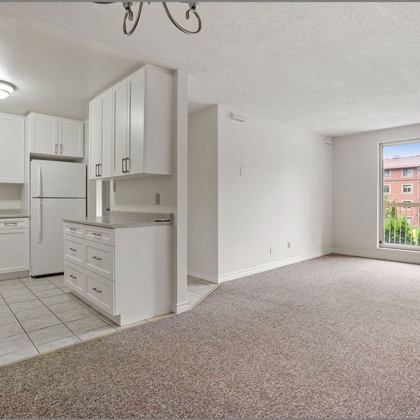 For Lease - 131 Edgehill Drive Unit# O5, Barrie, Ontario - Photo 1